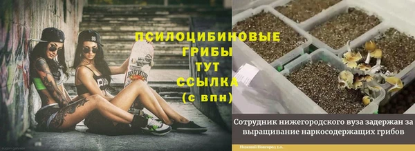 героин Верея