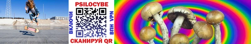 Галлюциногенные грибы Psilocybine cubensis  что такое   Солнечногорск 